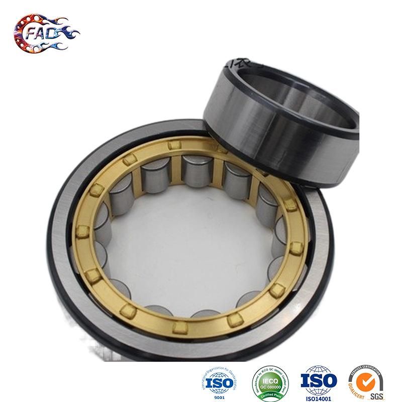 Xinhuo Bearing China 6806 Bearing Manufacturing 6202 Ceramic Bearing Nj220e Sealed Cylindrical Roller Bearings
