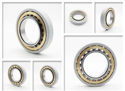 High Quality Electrically Insulated Bearings Nu208 Ecm/C3vl0241 for Motorcycle Accessories