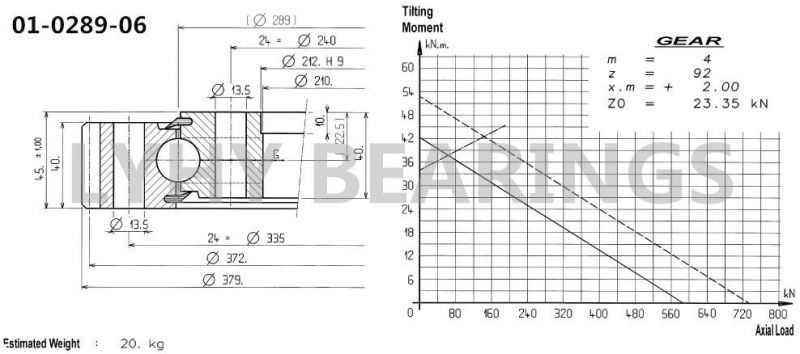 01-0289-06 External Gear Slewing Ring Bearing Slewing Gear Slewing Ring