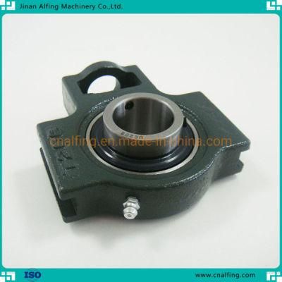 Pillow Block Bearing of Stainless Steel Bearing for High Quality