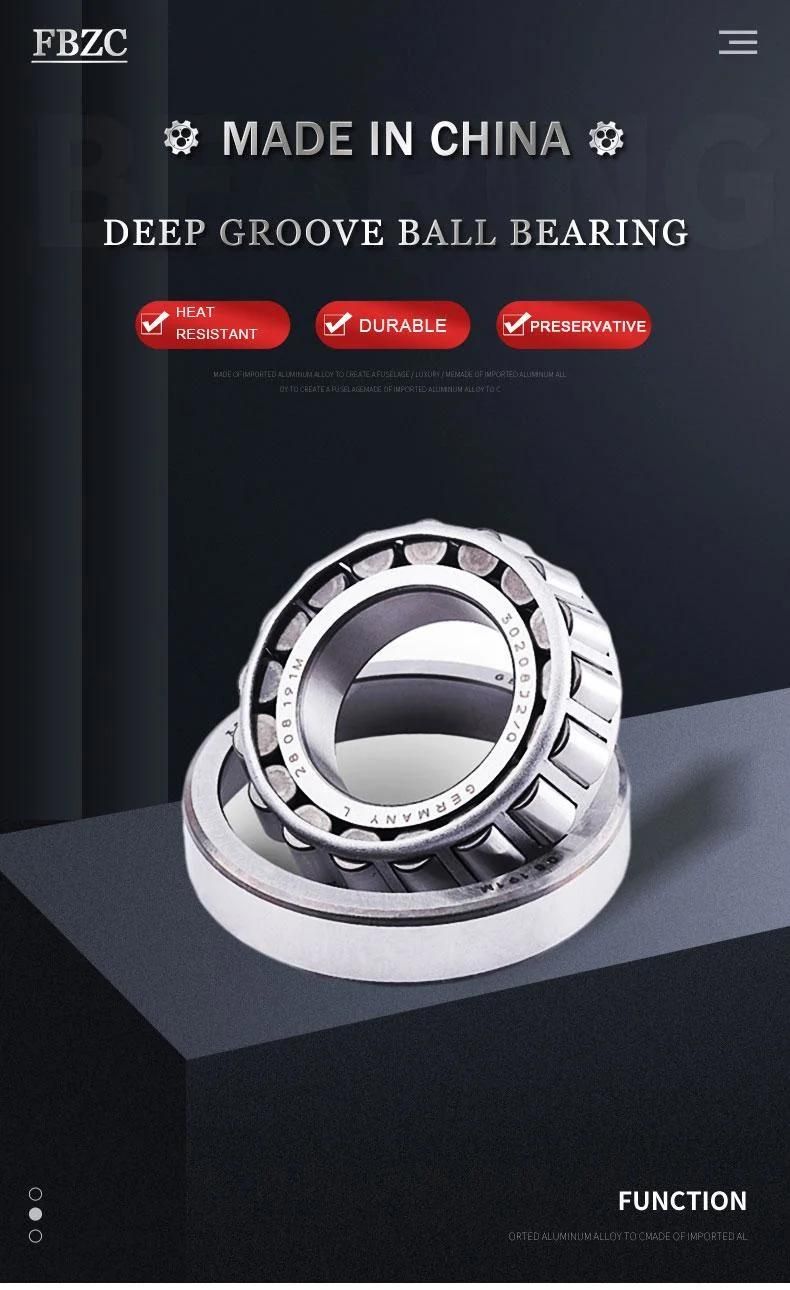 High Temperature Resistant Stainless Steel 6200 6201 6202 6203 6204 6205 Zz 2RS 606 2RS Deep Groove Ball Bearing