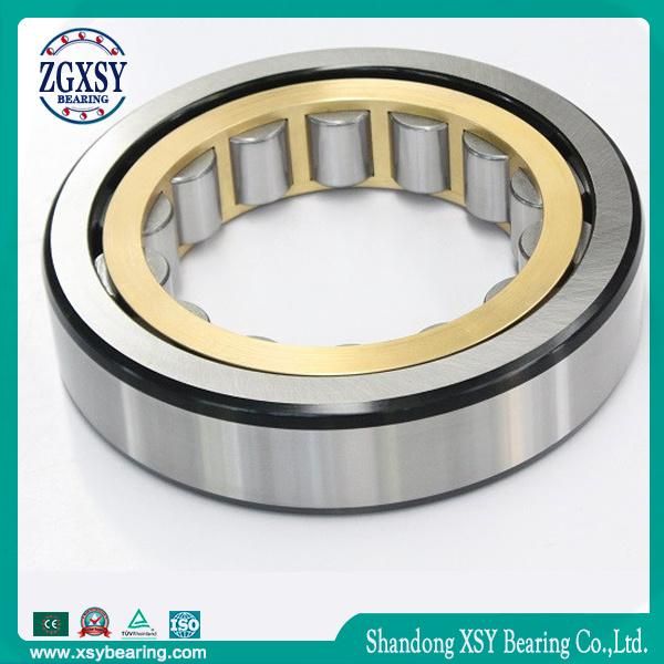 NSK Cylindrical Roller Bearing Nj2211 Nu2211 Nup2211