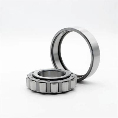 Automotive and Industrial Bearings Cylindrical Roller Bearing N1011e N1013m for Auto Parts