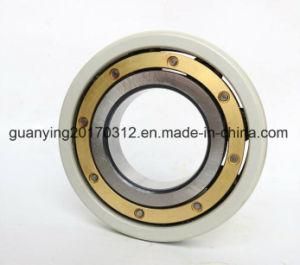 High Quality Insulated Bearing Insocoat Bearings 6317/C3vl0241