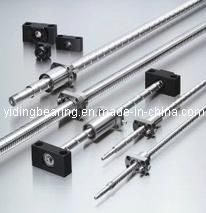 Rolled Thread Ball Screw 2505 2510 for CNC Machine