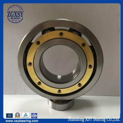 Angular Contact Ball Bearings 7000acseries, 7200acseries, 7300acseries