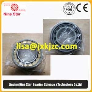 Nu234-E-Tvp2-J20AA-C3 Insulated Rolling Bearing