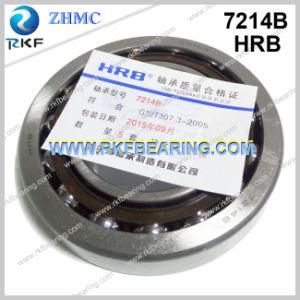 Hrb 7214b 70X125X24mm High Quality Made-in-China Angular Contact Bearing