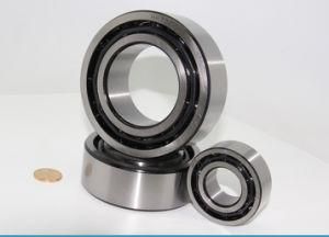 Engine Parts/ Spare Part/ Deep Groove Ball Bearing