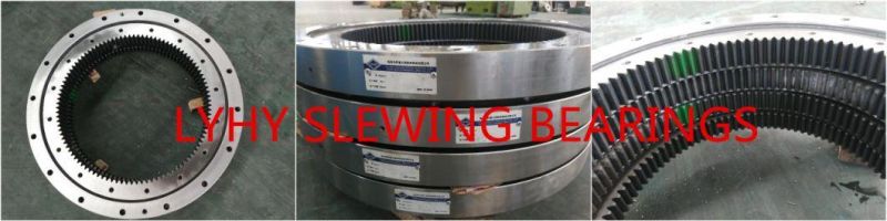 Slewing Ring Bearings Slewing Bearings Gear Bearings 9I-1b40-0923-0713
