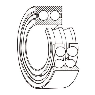 Double Row Angular Contact Ball Bearing 3211atng Motor Bearing