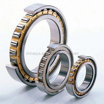 Zys Chinese Professional Cylindrical Roller Bearings N1018k Nn3018k