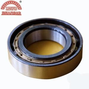 High Precision Long Service Life Cylinder Roller Bearing (n1006m)