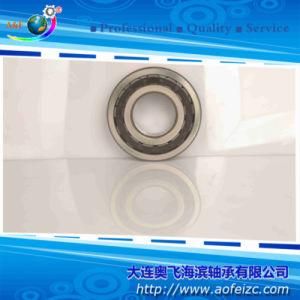 Auto Parts Steel Bearing Cylindrical Roller Bearings NJ320E Roller Bearings 42320E
