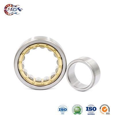 Xinhuo Bearing China Ball Bearing Rollers Product High Temperature Ceramic Bearings N224e N Type Cylindrical Roller Bearing