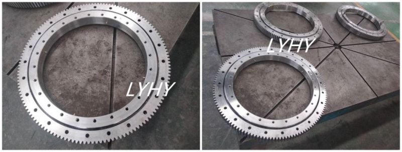 Slewing Ring Bearings Slewing Bearings 06-0307-00