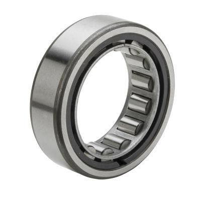 Famous Brand Cylindrical Roller Bearings N1016K with Radial Load