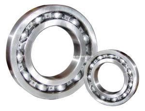 Ball Bearing ( 6000 Series )