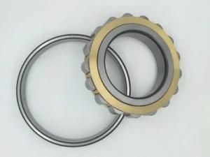 High Load Capacity Nu2340, Nj2340, Nup2340 Ecml/C3 Bearing for Craning Conveyance Machine
