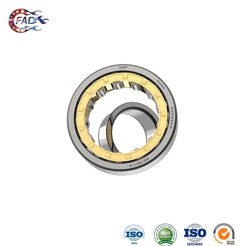 Xinhuo Bearing China Shandong Bearings Seismic ABEC 7 N240em in Nup Type Cylindrical Roller Bearing