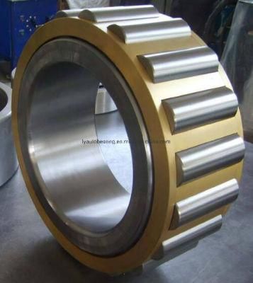 Cylindrical Roller Bearing N1072em/Nj1072em/Nu1072em