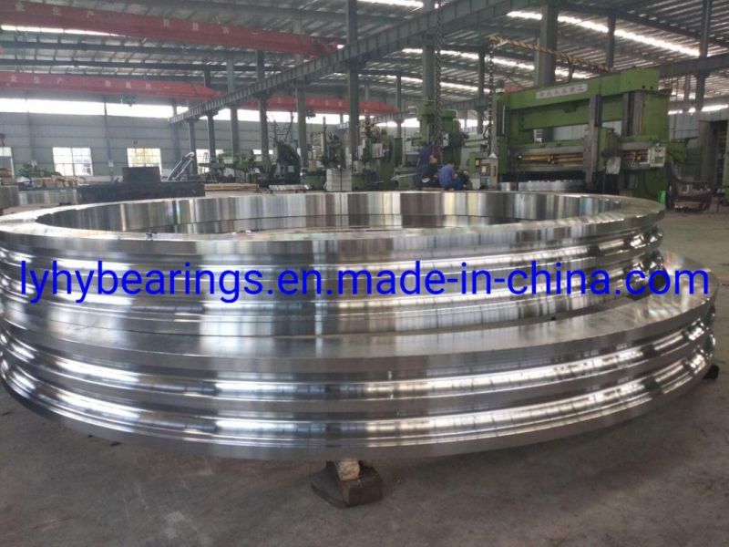 Outer Geared Turntable Bearing 5080.30.36.0-1.1700.00 Rotis Turntable Bearing 5082.30.36.0-1.1800.00 Toothed Swing Bearing