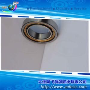 A&F Bearings Cylindrical Roller Bearing NU1028M for Electric Motors Automobiles