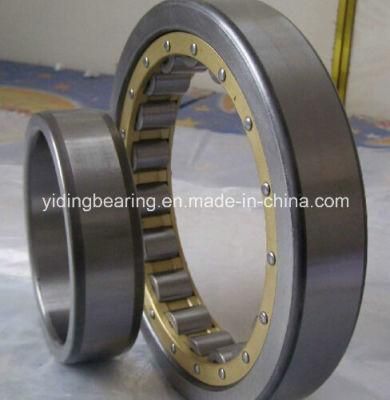 China Cylindrical Roller Bearings N1020k Nn3020k