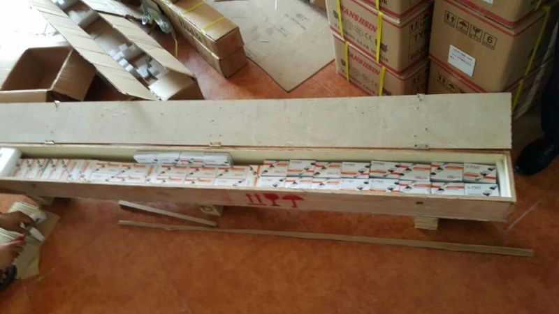 CNC Linear Guideway PMI Msa15s, Msa20s, Msa25s, Msa30s, Msa45s