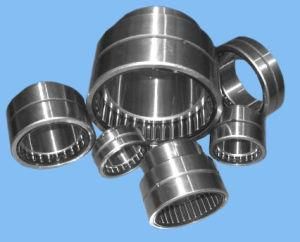 China High Quality All Types of Needle Roller Bearing