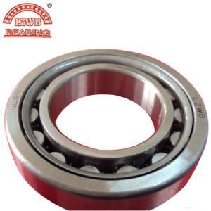 Precision Cylindrical Roller Bearing with The Best Price (NU211)