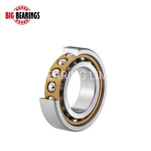Hot Sale Auto Bearing Wheel Hub Bearing 7202 Angular Contact Ball Bearing for Spindle Parts