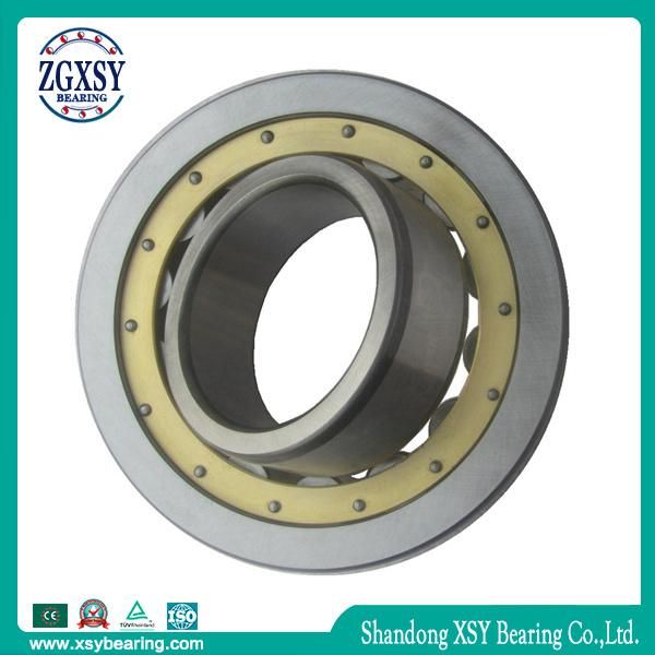 Cylindrical Roller Bearing Single Row 300*460*74mm Nu1060