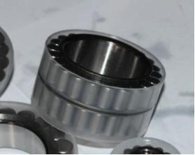 Full Complement Cylindrical Roller Bearing Without Outer Ring