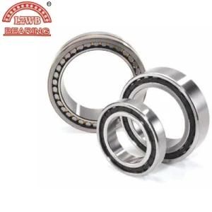 ISO Certificated of Cylinderical Roller Bearing (NJ 220 EM)