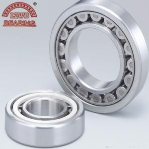 High Precision Low Noise Cylindrical Roller Bearing Series (NU204, NJ, NF, NUP)