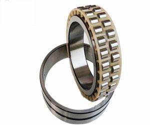 Double Row Cylindrical Roller Bearings 316739A Nnu4192m Bc2-8004/Ha1 316189 Nnu4196m/W33 314419 Nnu41/500m/W33 Bc2b326064/Ha1 Bc2b320117/Ha4