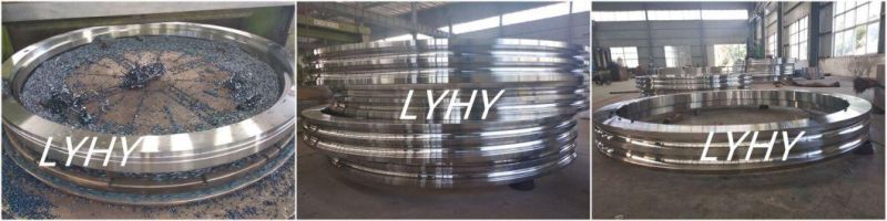 Flanged Bearing Ball Bearing Slewing Ring Bearing Without Gear Teeth Bearing Rotary Bearing Turntable Bearing (RKS. 23 1091)