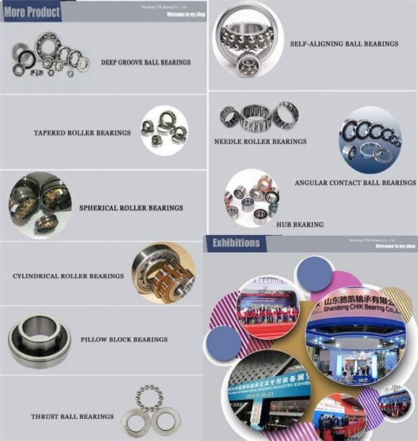 Insert Ball Bearing UCT210 UCT211 UCT212 UCT213 UCT214 UCT215 UCT216 UCT217 UCT218 Chik/NSK/SKF/NTN/Timken Pillow Block Bearing