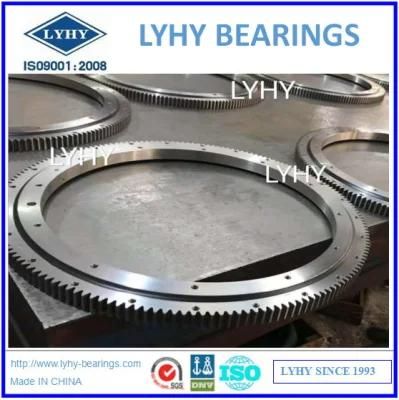Slewing Bearing Slewing Ring Bearings Ring Bearings Gear Bearings Turntable Bearings 231.20.0700.013