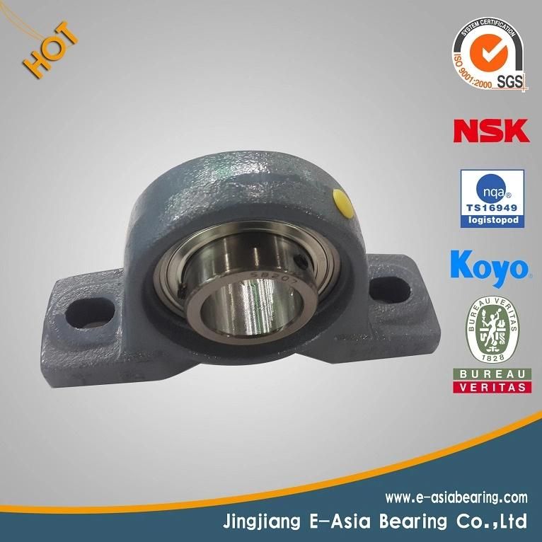 Coupling Ball Screw Sfu1605 with Coupling and Pillow Block Bearing