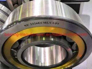 High Quality Nu232 Ecml C3 Bearing for Vibrating Screen Equipment