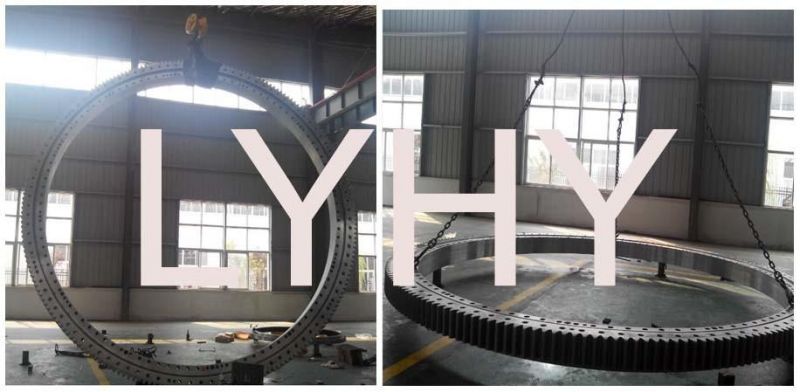 Large Diameter Turntable Bearing 191.20.1600 Three Row Roller Slewing Ring Bearing Gear Slewing Bearing 191.20.1800