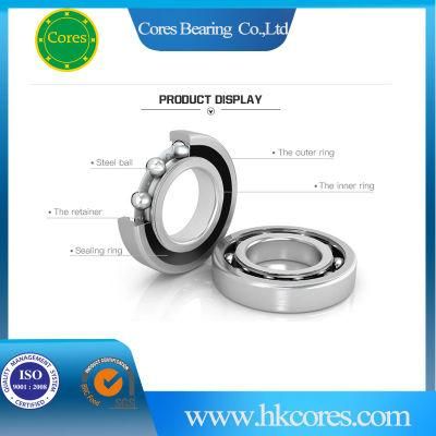 Bearing of Stainless Steel Hollow Ball
