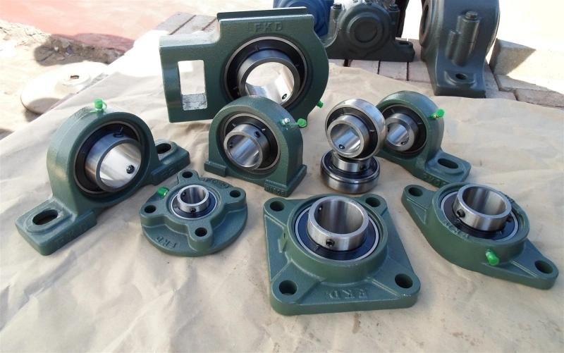 Pillow Block Bearing for Auto Parts