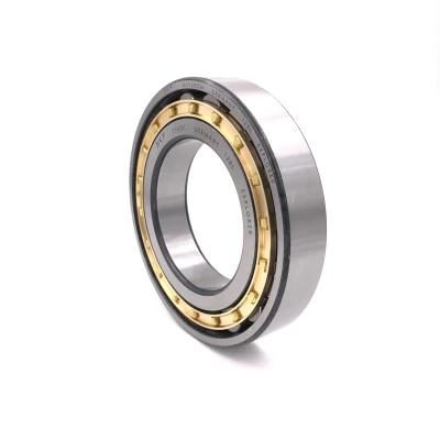 OEM Brand High Precision Cylindrical Roller Bearing for Large and Medium-Sized Motor