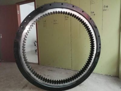 Dh60/Dx60 Slewing Bearing Manufacturers Slewing Ring