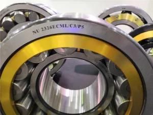 High Load Capacity Nu220 Ecml C4 Bearing for Craning Conveyance Machine