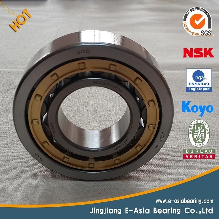 Ezo Bearing 6206zz 6207zz 6208zz 6209zz 6210zz 6000 Series