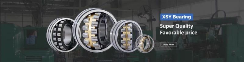 Large Diameter Thrust Ball Bearing